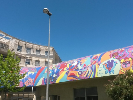 Projet de la fresque